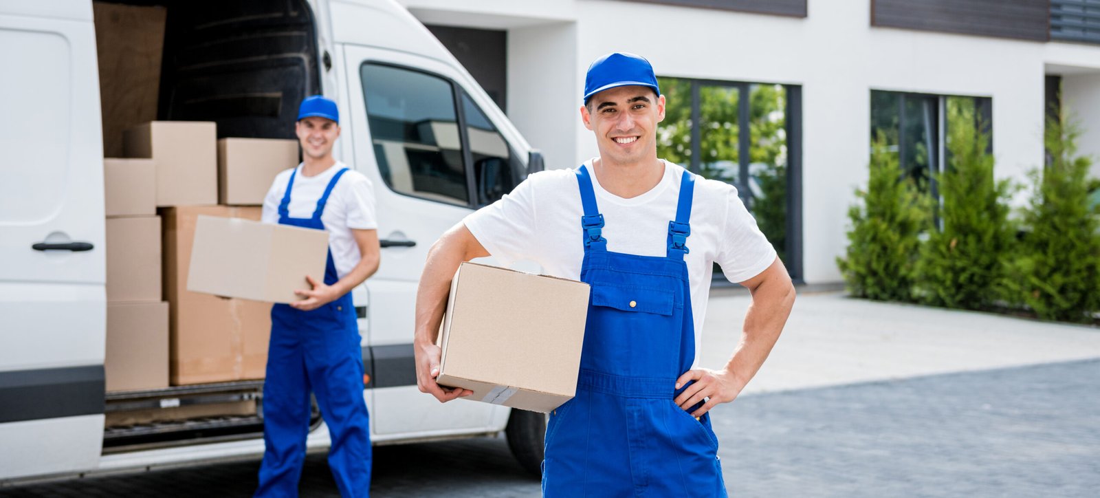 Furniture Movers service in New Zealand